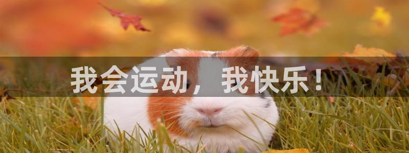 vsport体育官网下载平台注册流程视频:我会运动,我快乐!